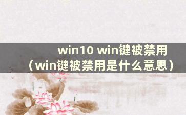 win10 win键被禁用（win键被禁用是什么意思）